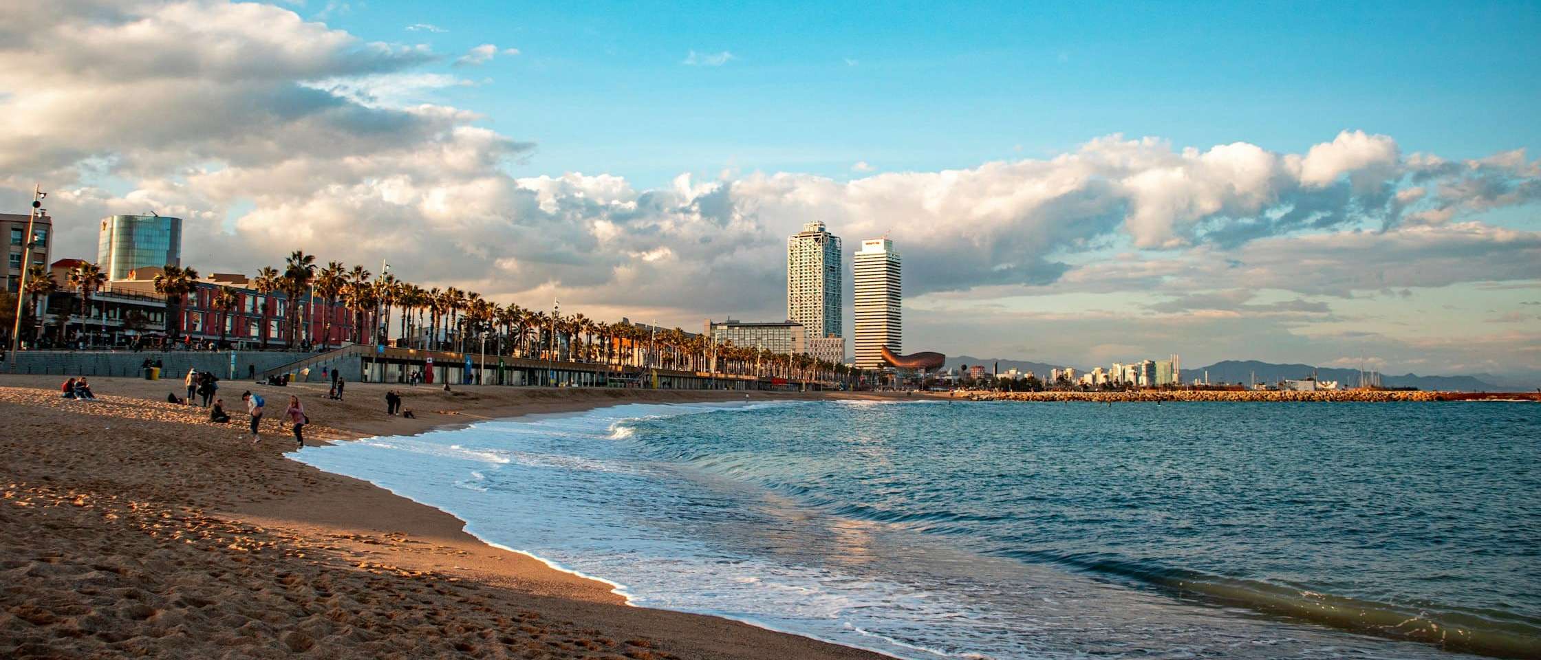 Playa de la Barceloneta con el paseo de palmeras y las torres del Port Olímpic al fondo